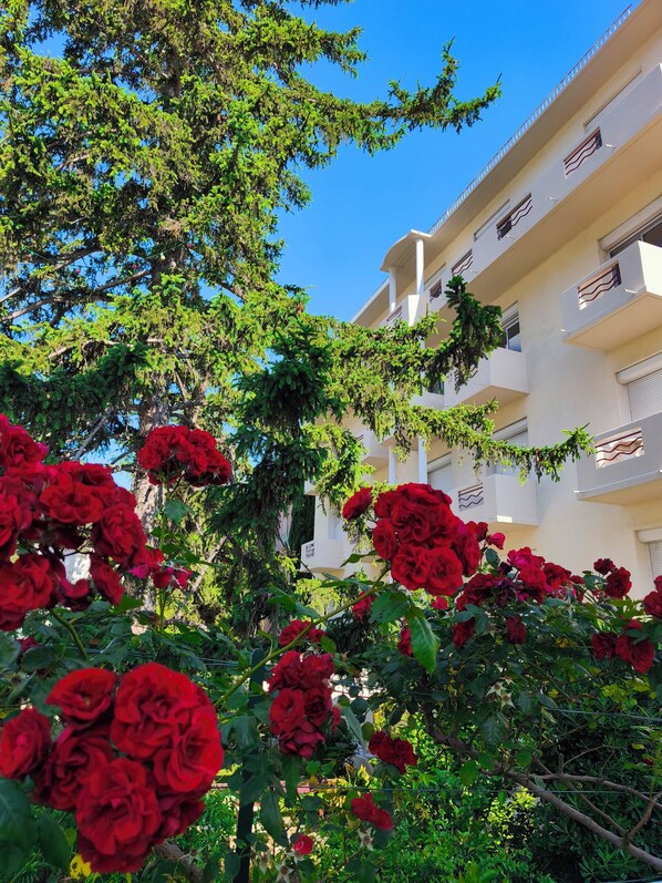 Fachada de la propiedad