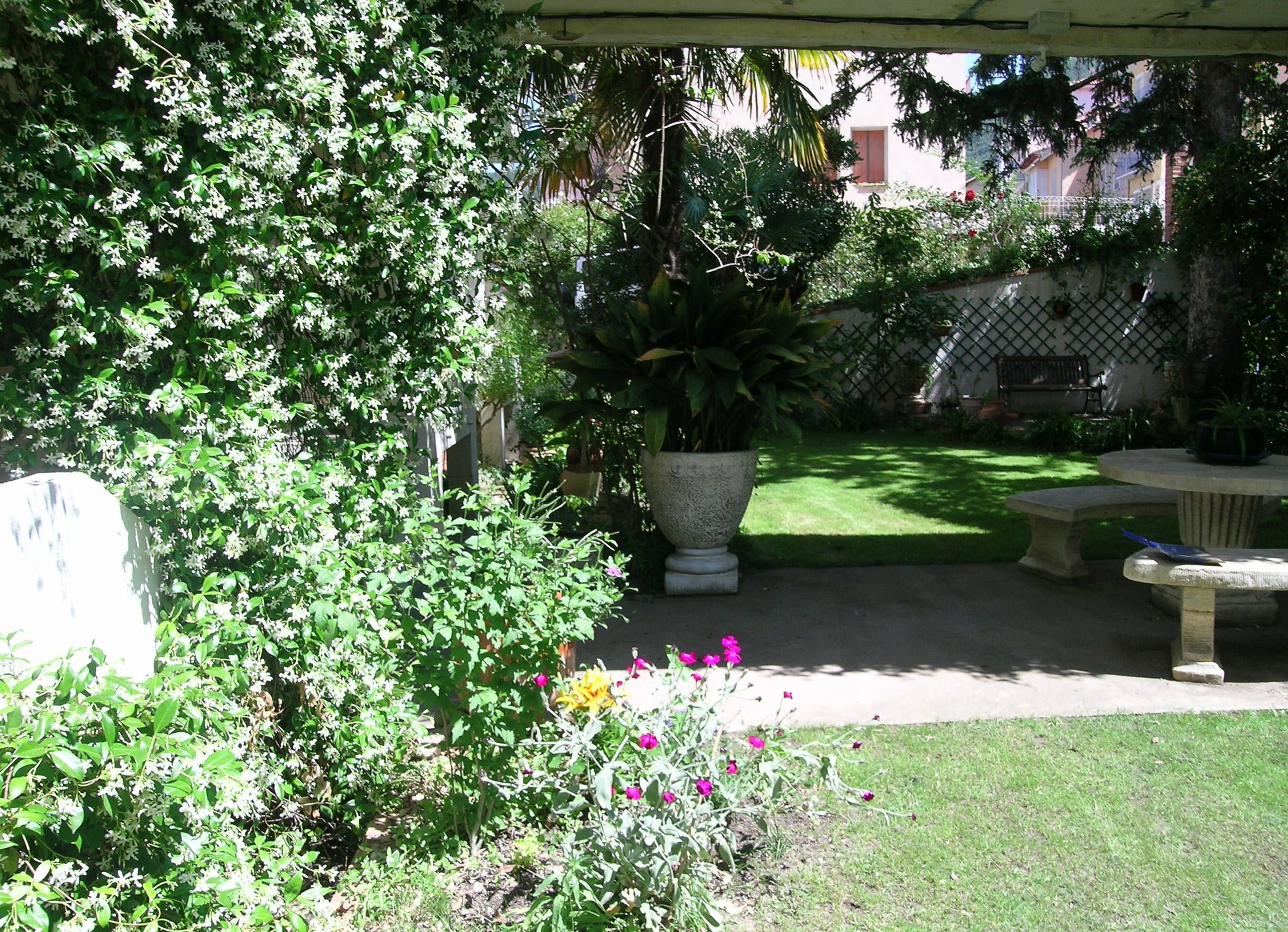 Un jardin avec une grande plante en pot, un banc en pierre et une zone herbeuse.