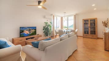Televisie en een open haard