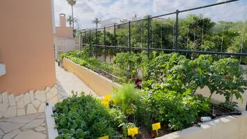 Terrein van de accommodatie