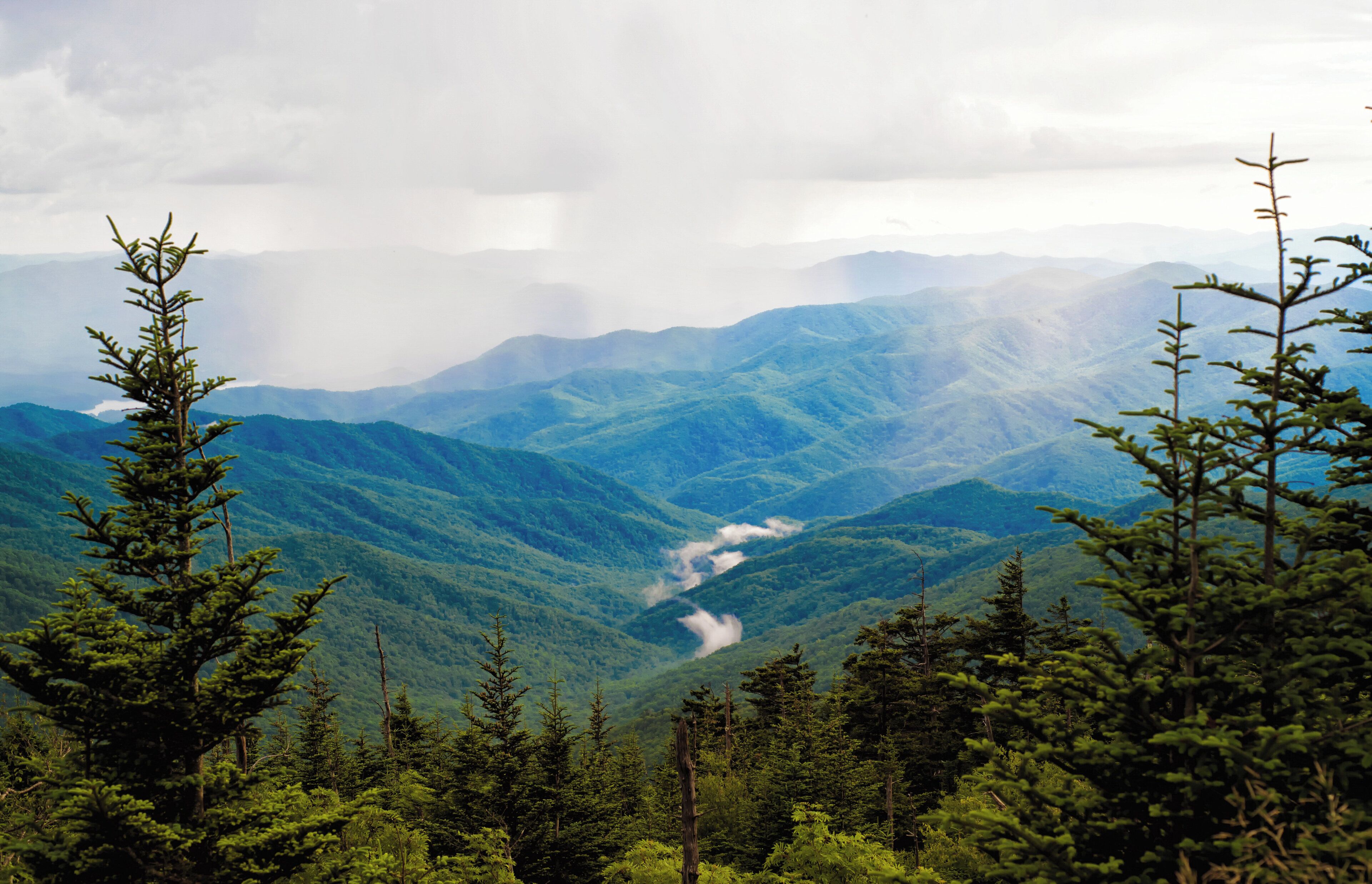 A mountainous landscape with dense forest and a winding river.