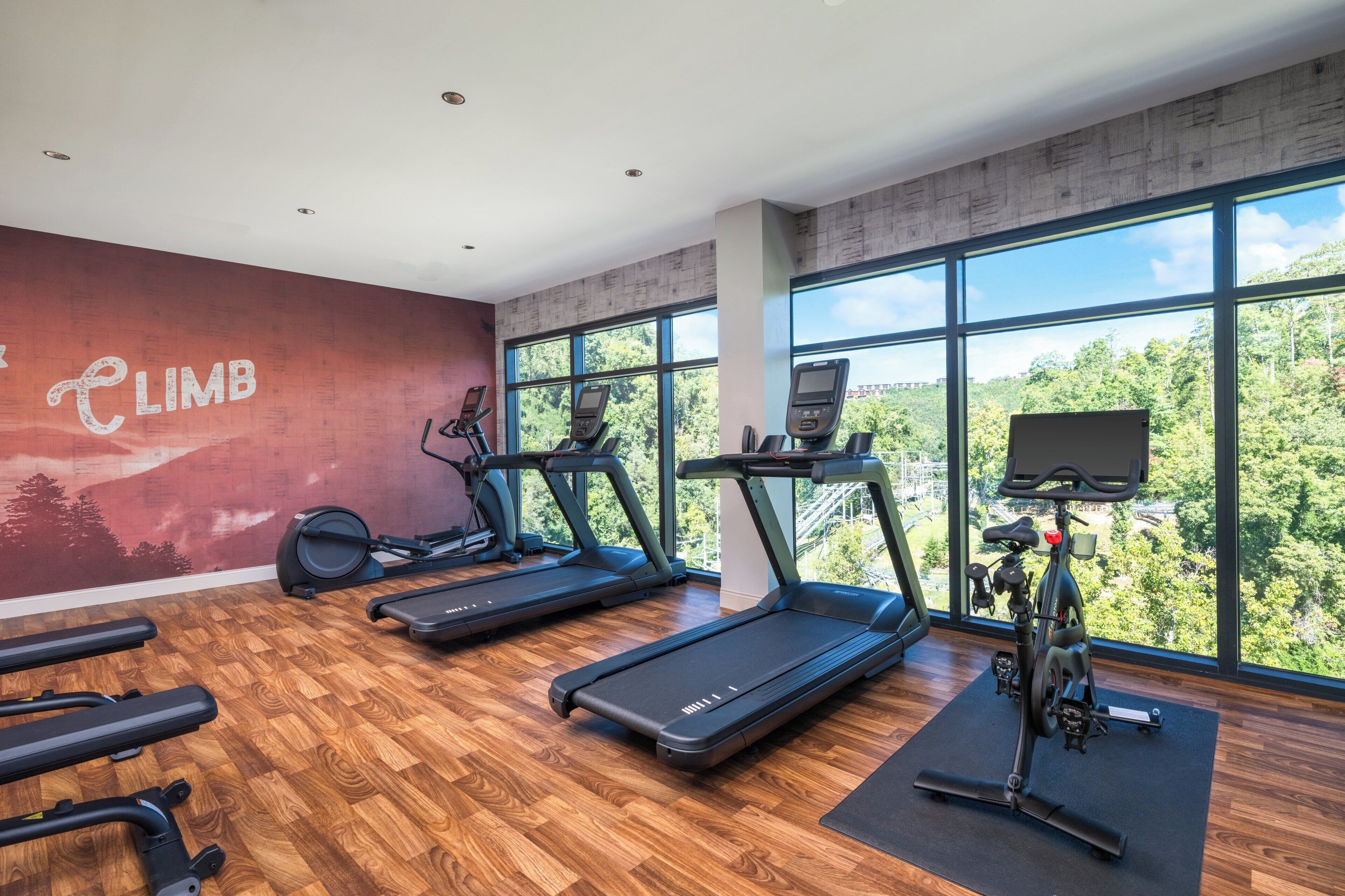 Une salle de sport équipée de tapis de course, de vélos elliptiques et d’un vélo d’appartement, de grandes fenêtres donnant sur des arbres et d’un plancher en bois.