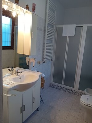 Hair dryer, bidet, towels, soap