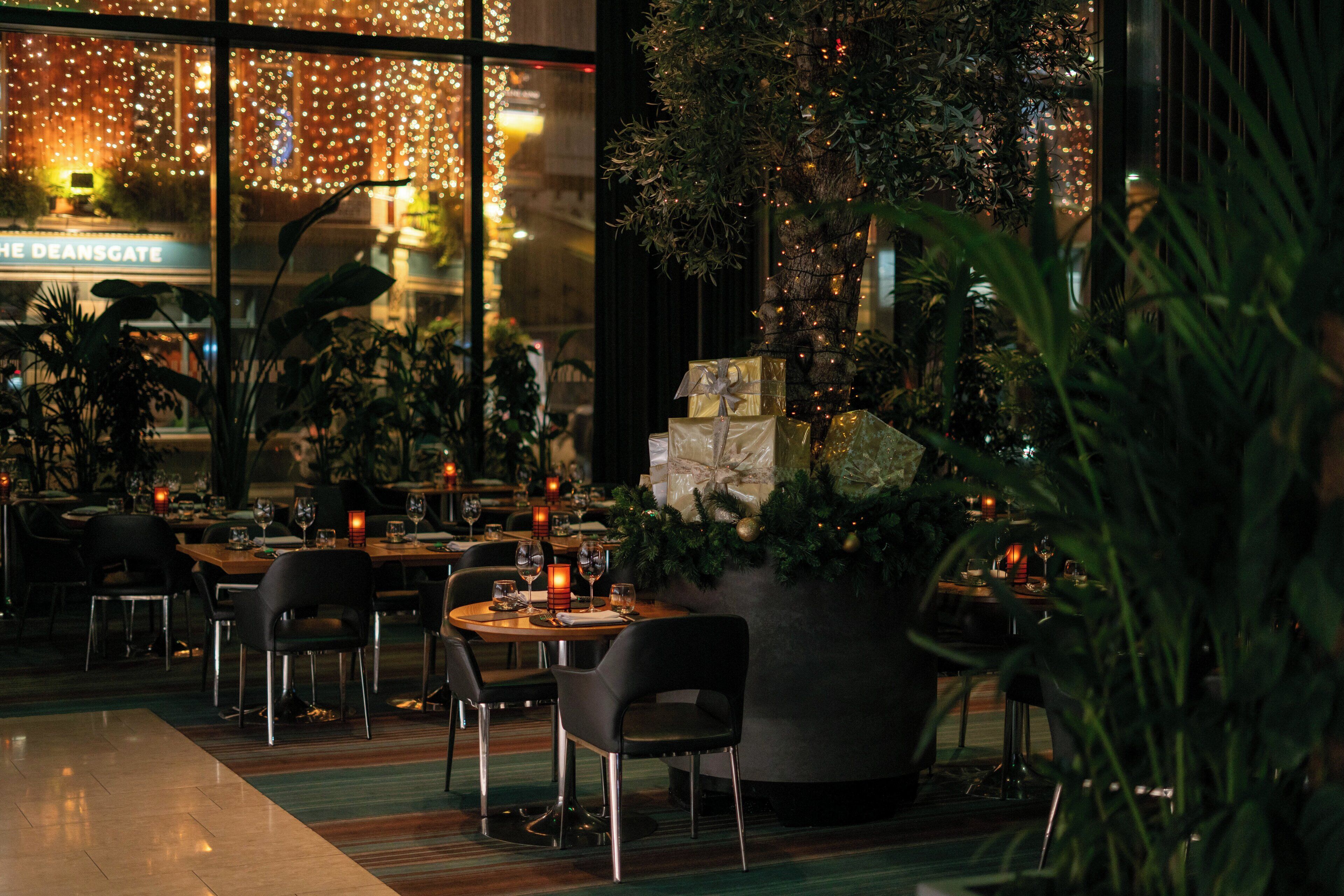 A restaurant with tables and chairs, a large potted plant, and a Christmas tree.