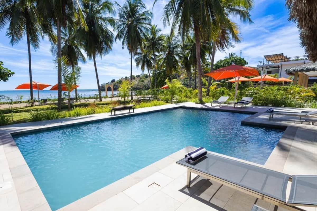 A swimming pool with lounge chairs and umbrellas, surrounded by palm trees and a view of the ocean.