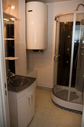 Shower, hair dryer, soap, toilet paper