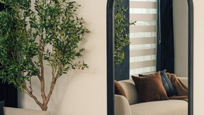 A living room with a sofa, a coffee table, a potted plant, and a mirror reflecting the room.