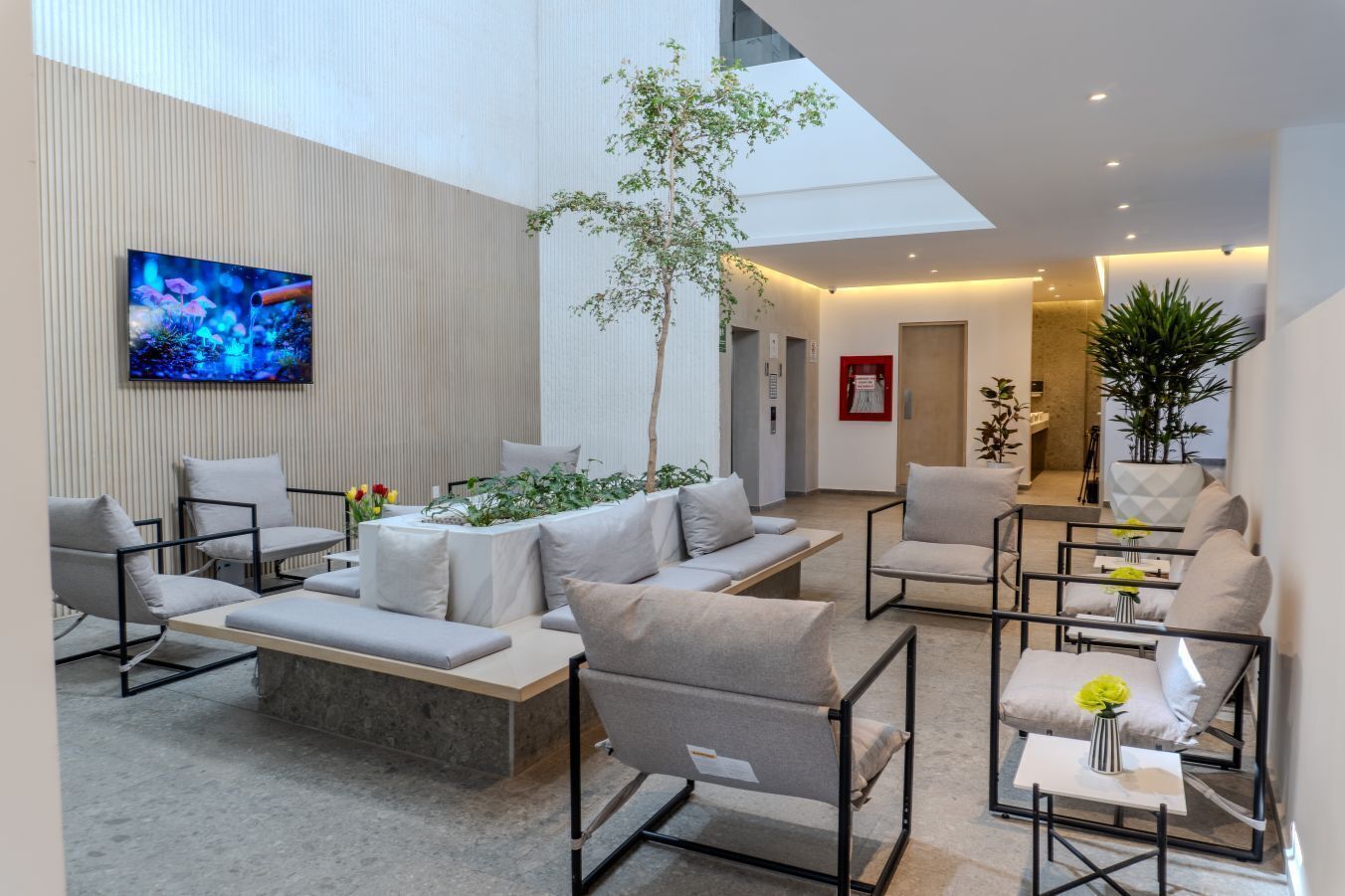 A modern interior with a central seating area, a flat-screen TV, and a plant.