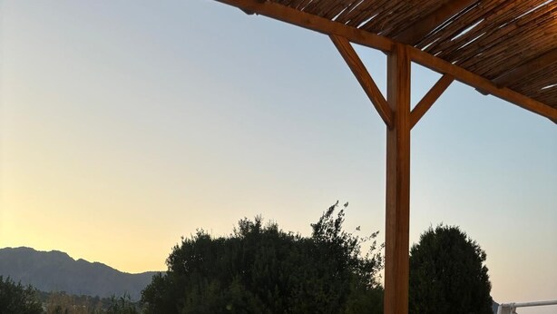 A poolside area with a hammock, a table with a bowl, and a pergola with string lights.