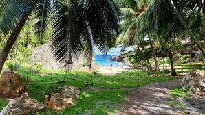Paisaje de playa tropical con palmeras, costa rocosa y vista despejada del océano.