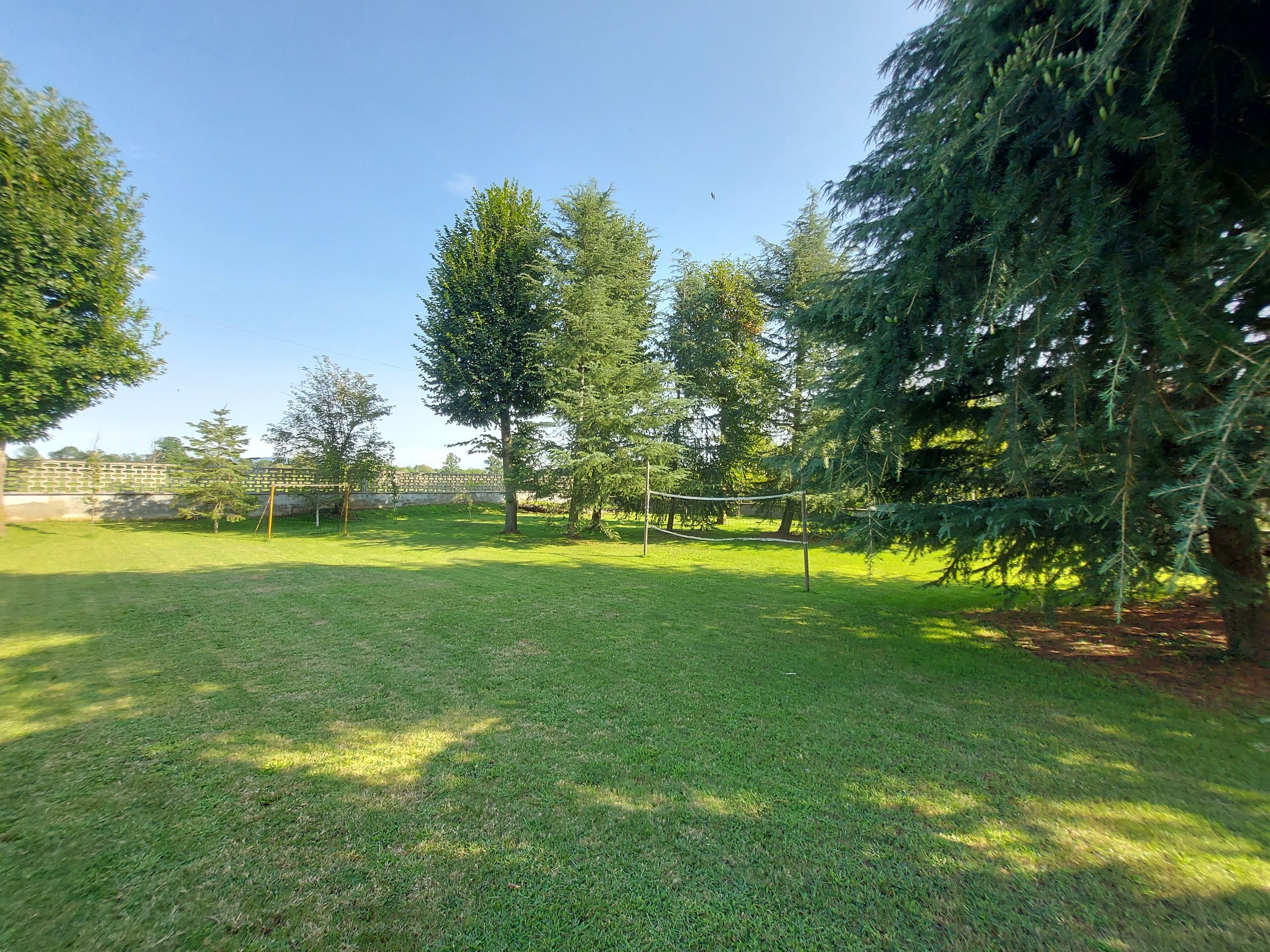 A grassy outdoor area with trees and a volleyball net.
