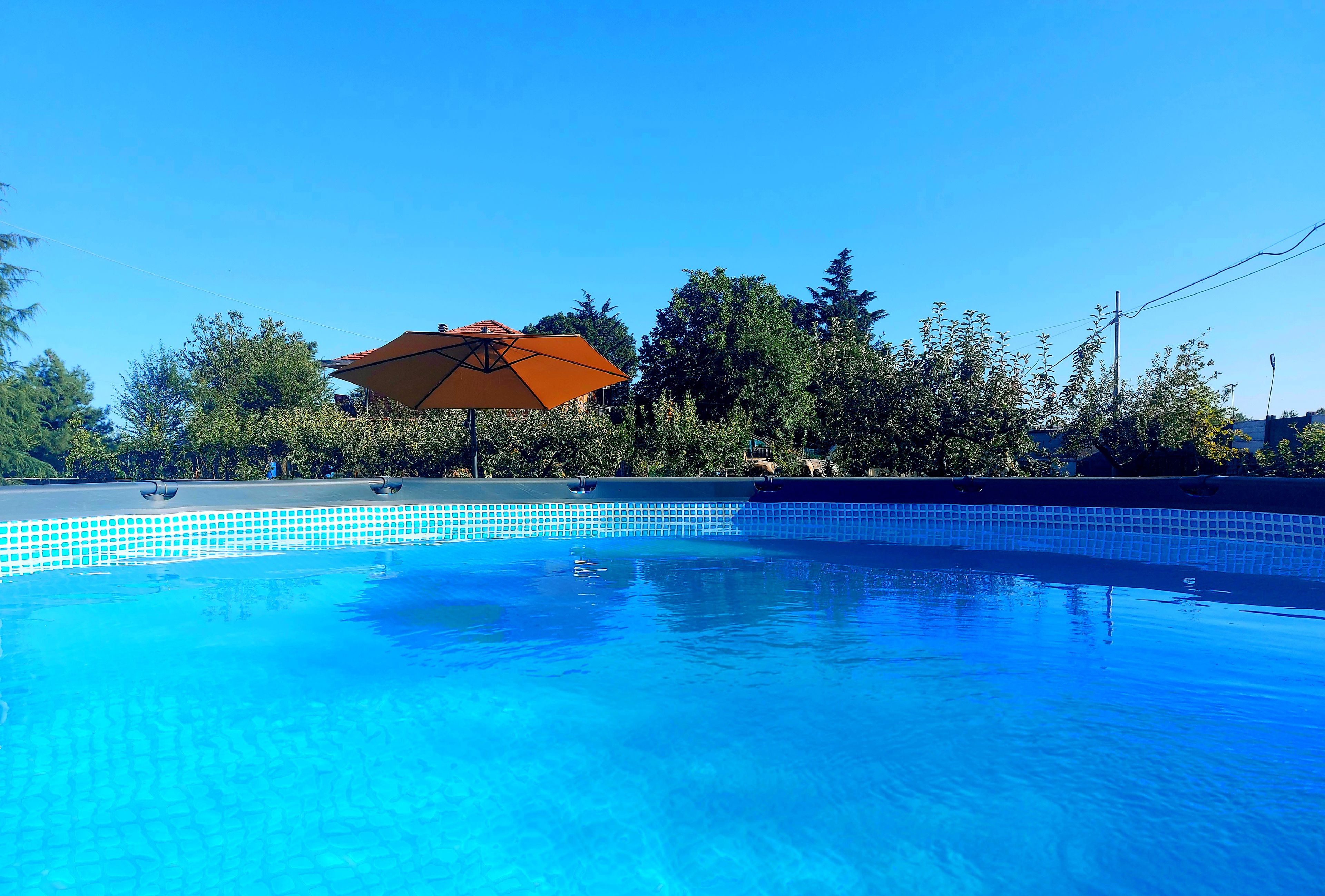 A clear blue swimming pool with a tiled edge, surrounded by trees and an umbrella.