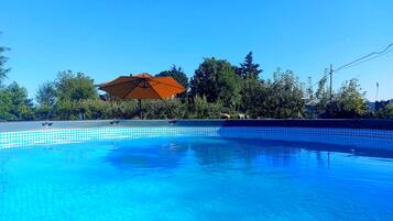 A clear blue swimming pool with a tiled edge, surrounded by trees and an umbrella.