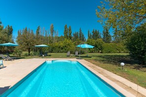 A rectangular swimming pool with a tiled edge, surrounded by a lawn and trees.