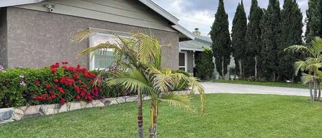 المنطقة المحيطة بالمنشأة