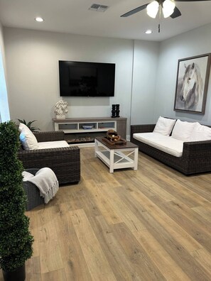 TV, fireplace