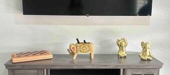 Amazing! EV charger hot tub