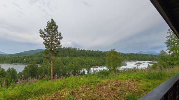 Vista de un río rodeado de bosque y montañas.