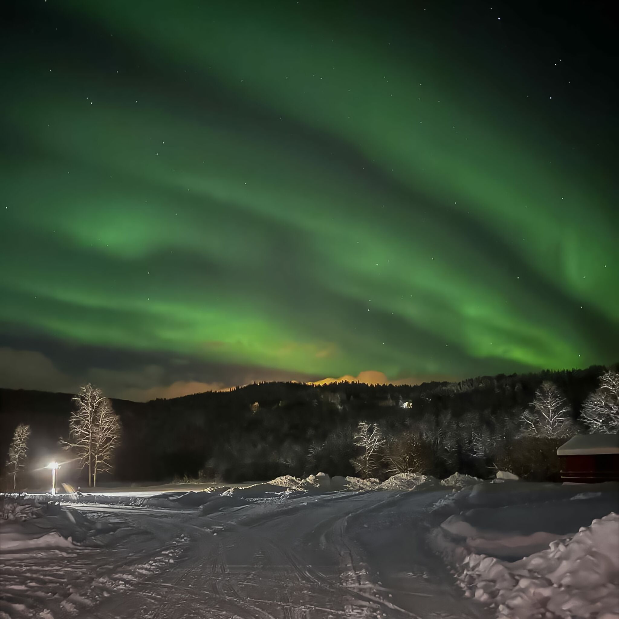 Ett snötäckt landskap med en väg som leder fram till en byggnad, under en natthimmel där norrskenet syns.