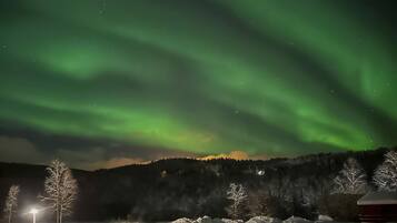 Ett snötäckt landskap med en väg som leder fram till en byggnad, under en natthimmel där norrskenet syns.