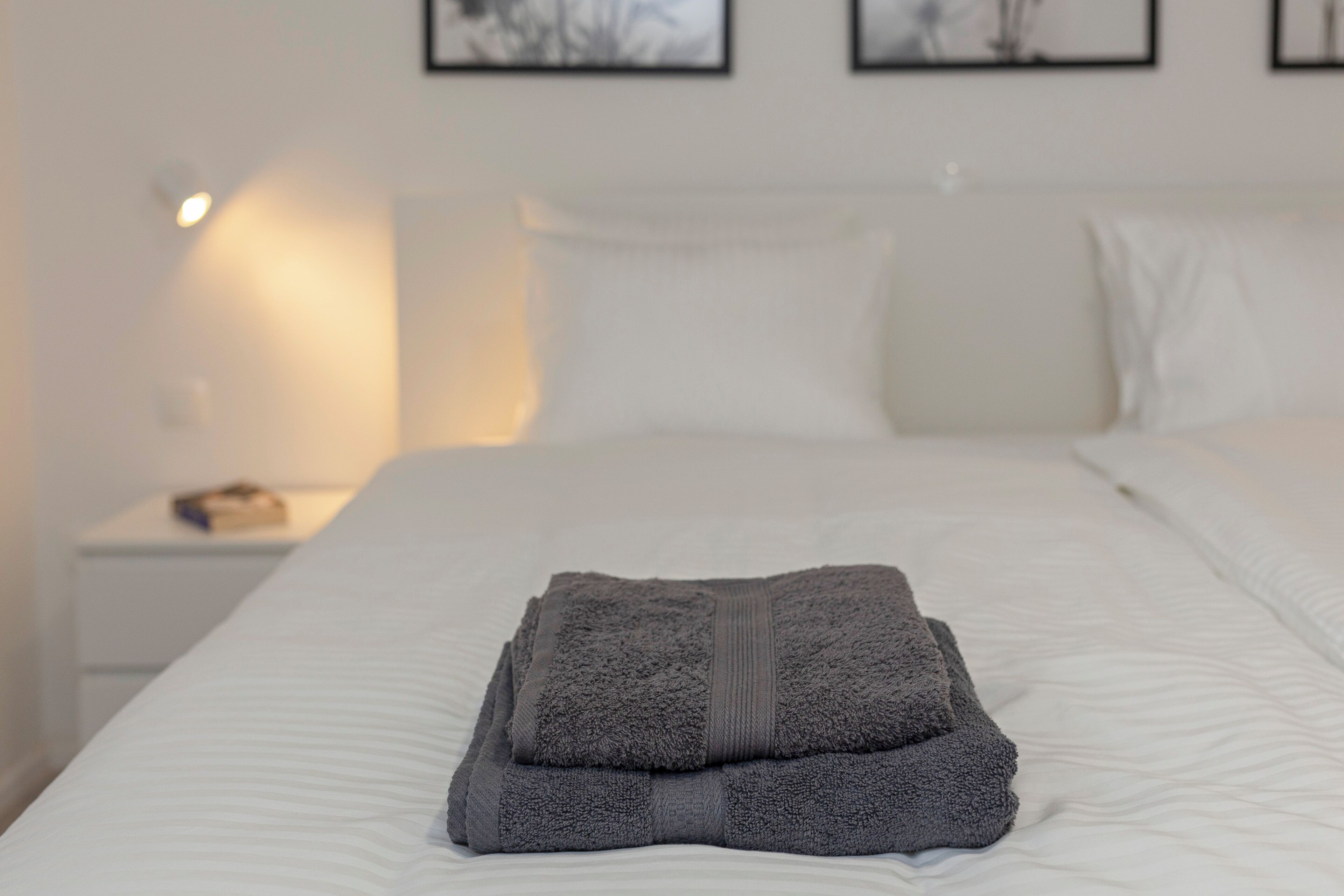 2 bedrooms, in-room safe, iron/ironing board, free WiFi