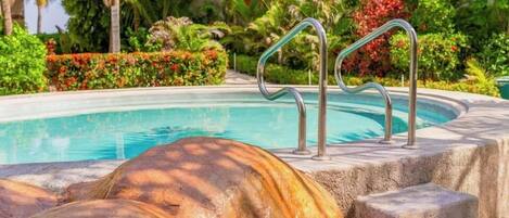 A swimming pool with metal handrails, surrounded by lush greenery and palm trees.