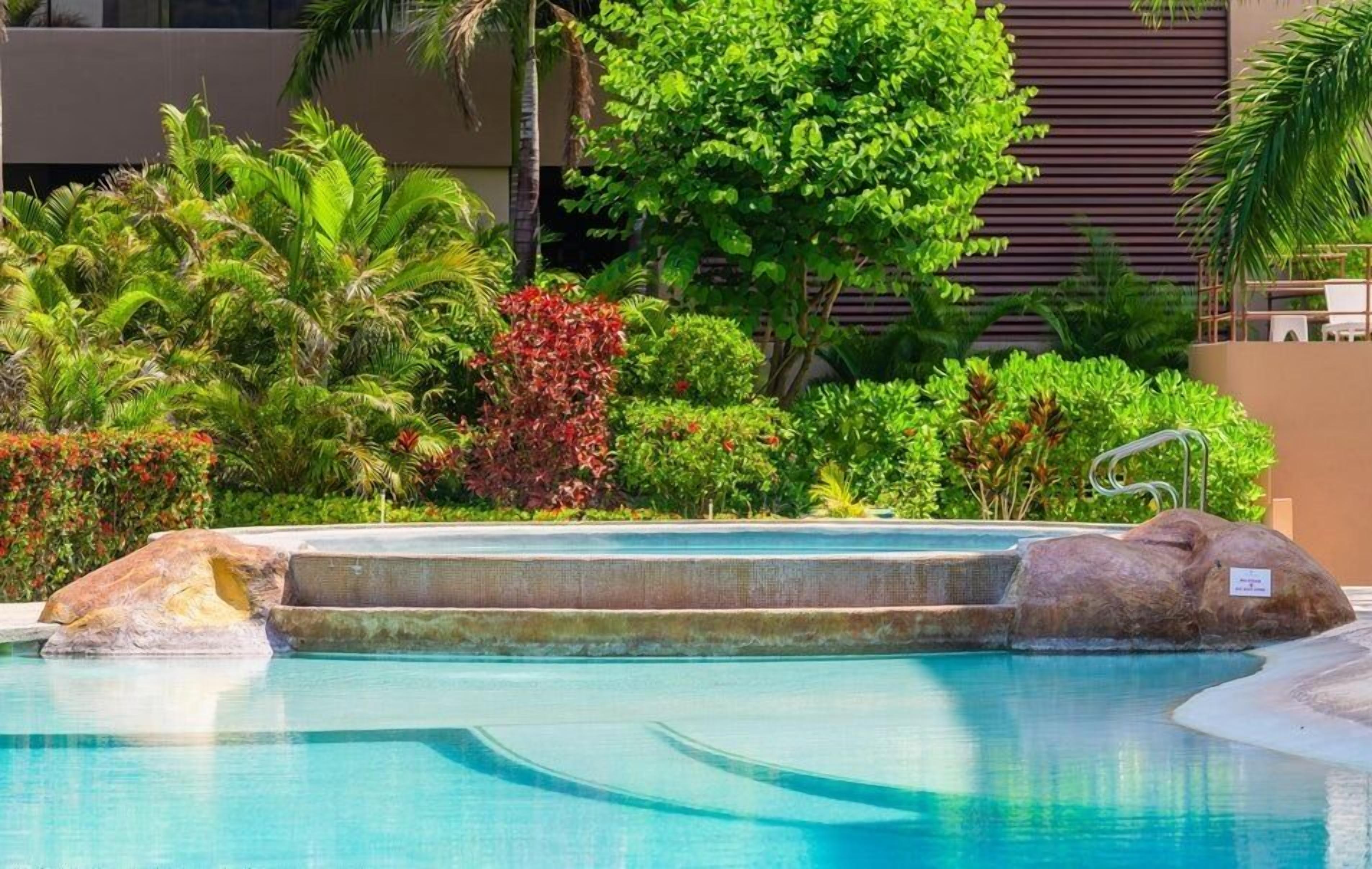 A swimming pool with a stone edge, surrounded by lush greenery and a palm tree.