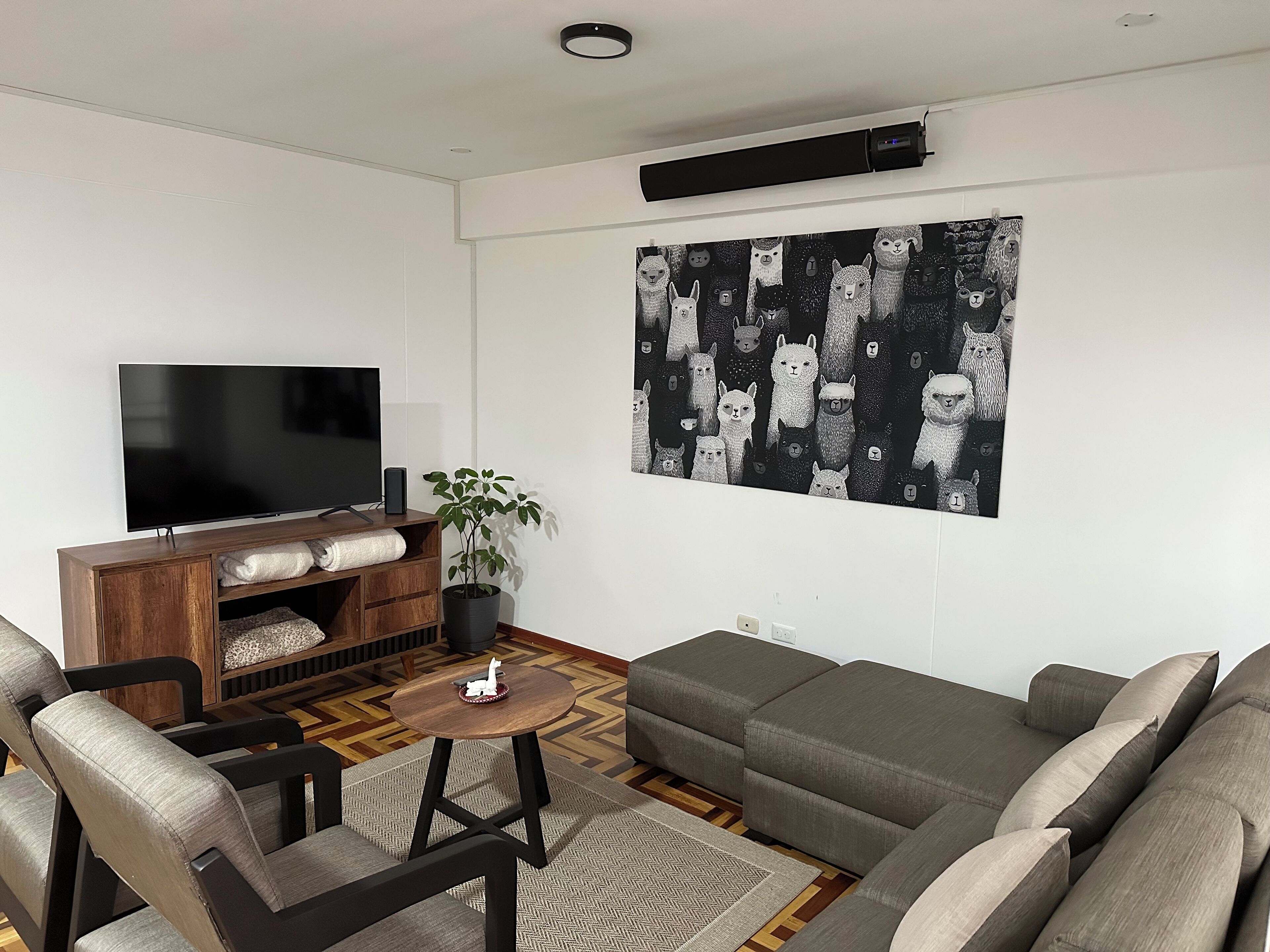 TV