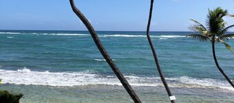 Kauai Kailani, Oceanfront 2 bedroom condo in Kapa'a, Kauai