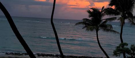 Camastros y toallas de playa