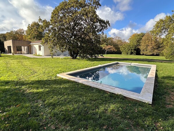 A swimming pool with a stone border, surrounded by a well-maintained lawn and a large tree.