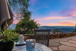 Uma mesa com xícara e pires, uma cadeira e um vaso com planta.