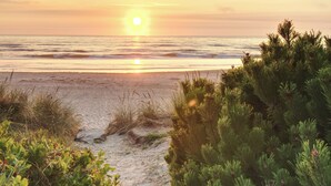 A beach path leading to the ocean with a sunset in the background.