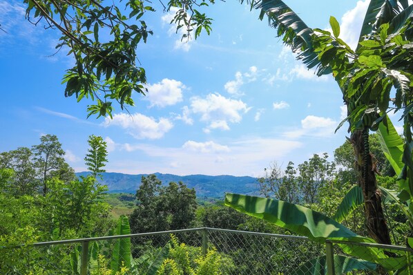 Property grounds - La toscana farm (Santa Ana)