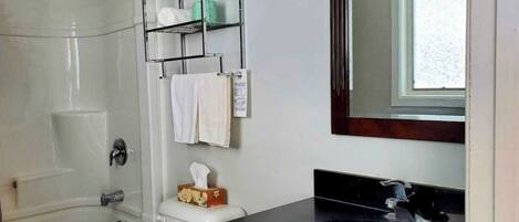 Hair dryer, towels, soap, toilet paper