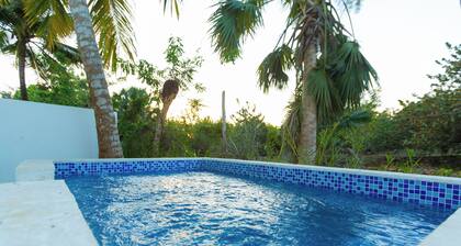 Secluded Beachfront Getaway 1-bedroom condo in La Boca with AC and private pool