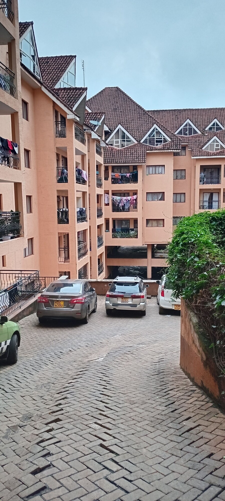 Image de profil de l’hôte