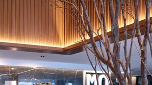 A reception desk with a modern design, a large sign reading "MOV", and a potted plant in the foreground. - Flat Tambaú aproveite com sua família  (Joao Pessoa)