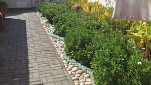 A paved pathway bordered by a low stone wall and lush greenery, leading to a white building with a metal fence. - Cosy Coastal Escape - Quiet Hideaway 7 minutes from the Sea (Swakopmund)