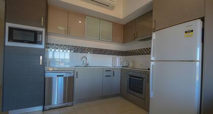 Edacious Edgar Modern 1x1