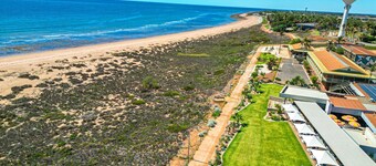 Elated Edgar 2x1 Close to CBD