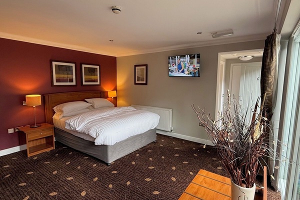 Deluxe Double Room | Desk, laptop workspace, iron/ironing board (on request), WiFi (free)