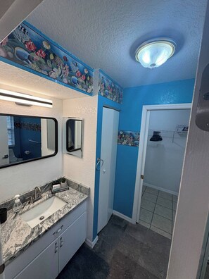 Shower, towels, soap, toilet paper - 3-bedroom house in charming Hudson with AC (Hudson)