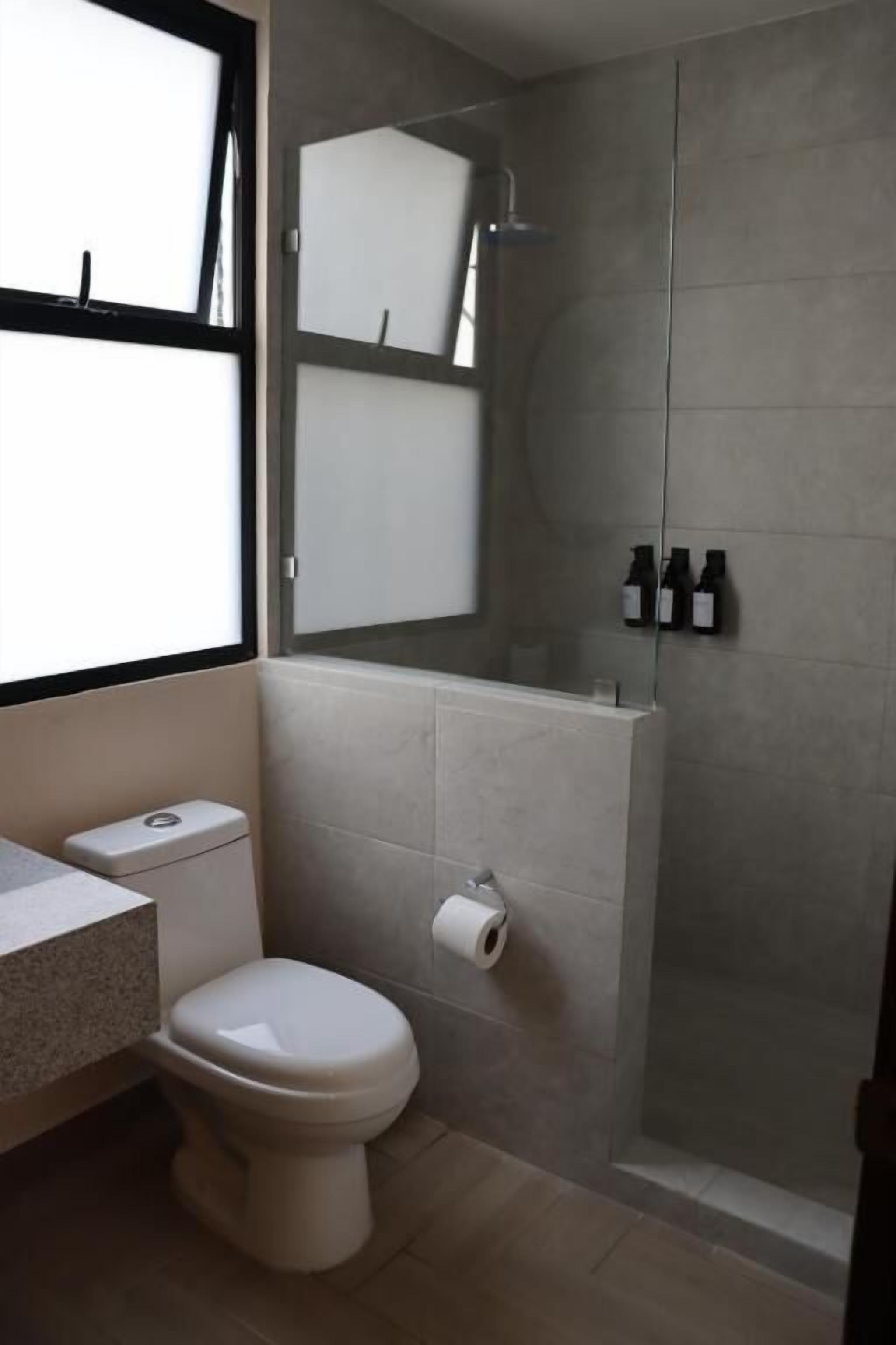 A bathroom with a toilet, a sink, a mirror, and a shower.