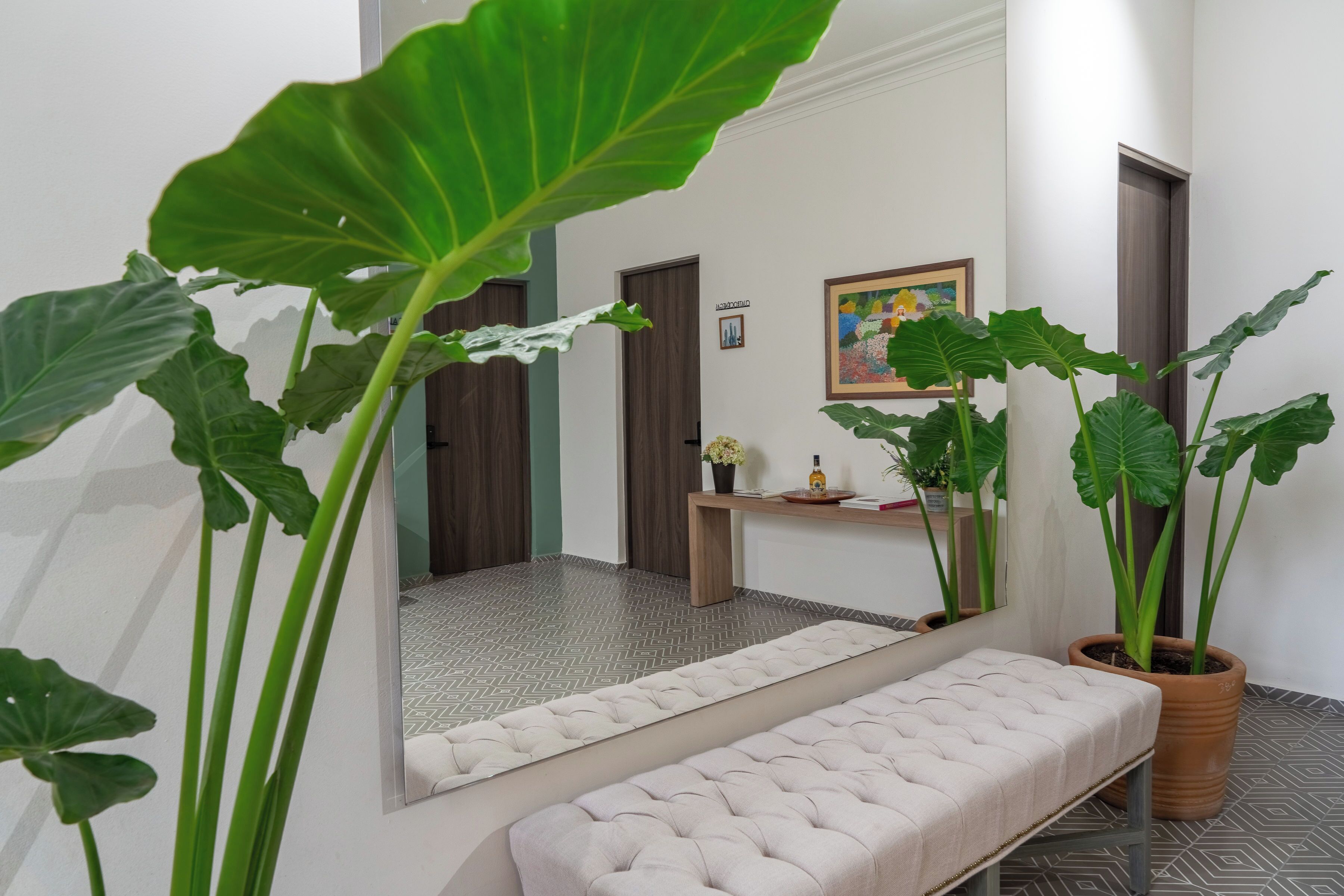 Smart TV de 50 pulgadas con canales digitales 