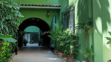 Vista desde la habitación