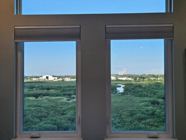 Dos ventanas con vistas a un paisaje verde y edificios a lo lejos.