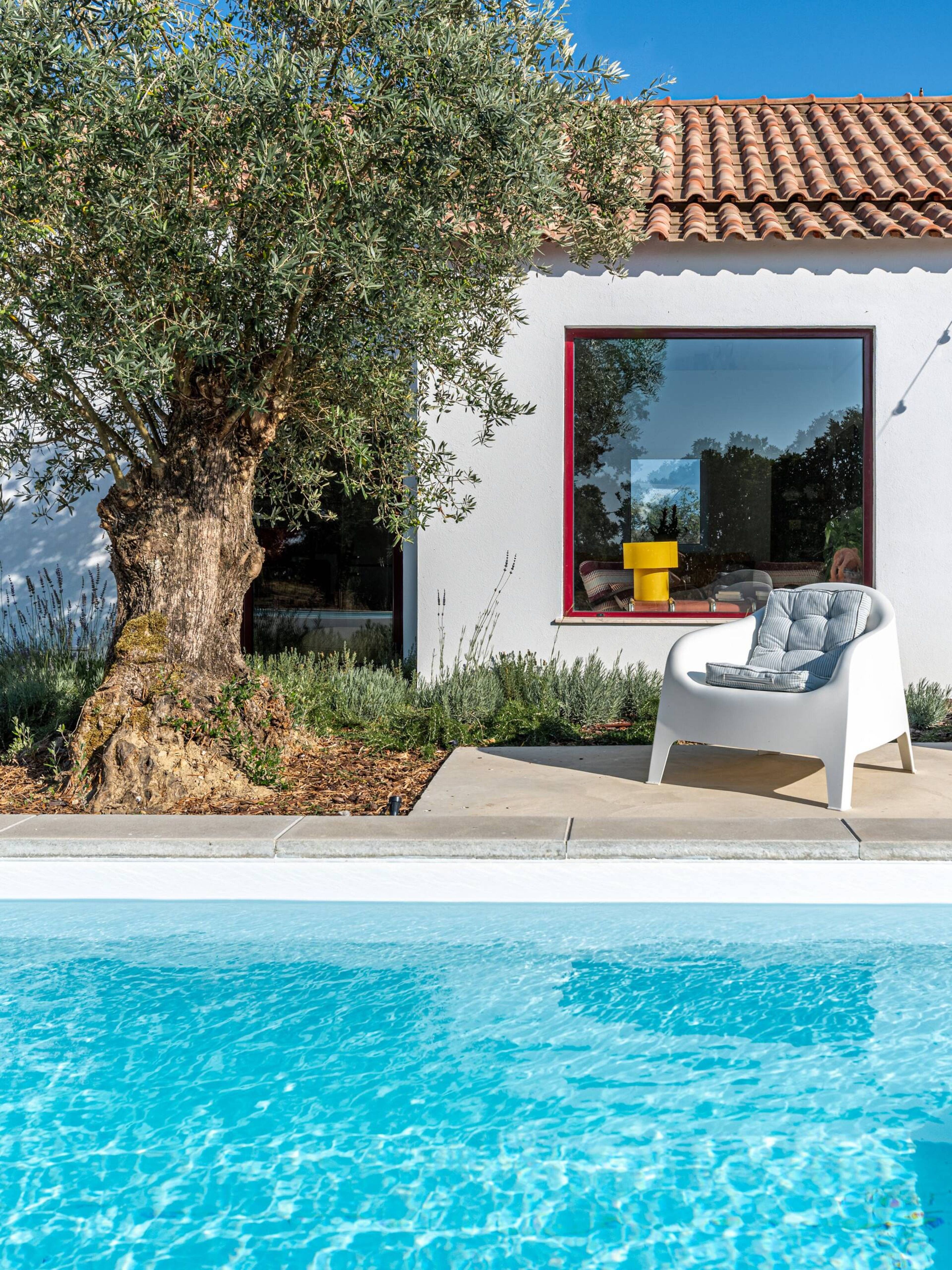 A modern house with a swimming pool, a large window, and a tree.