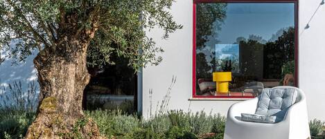Una casa moderna con piscina, un ventanal grande y un árbol.