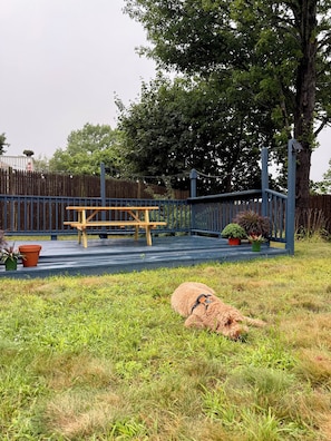 A wooden deck with a bench, surrounded by a blue fence, and a dog lying on the grass.